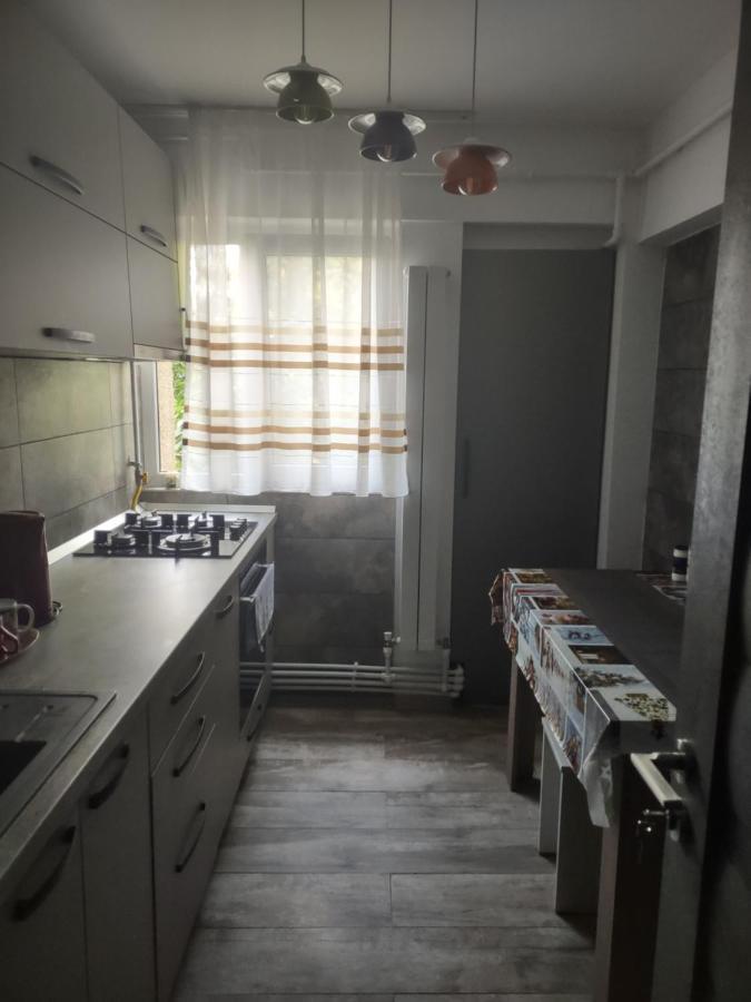 Apartament Piteszti Zewnętrze zdjęcie